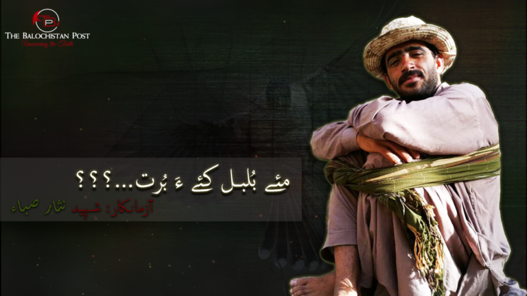 مئے بُلبل کئے ءَ بُرت…؟؟ آزمانکار: شہید نثار صباء