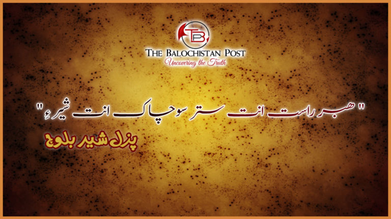 ھبر راست انت ستر سوچاک انت شیر ءِ ” – پزل شیر بلوچ”