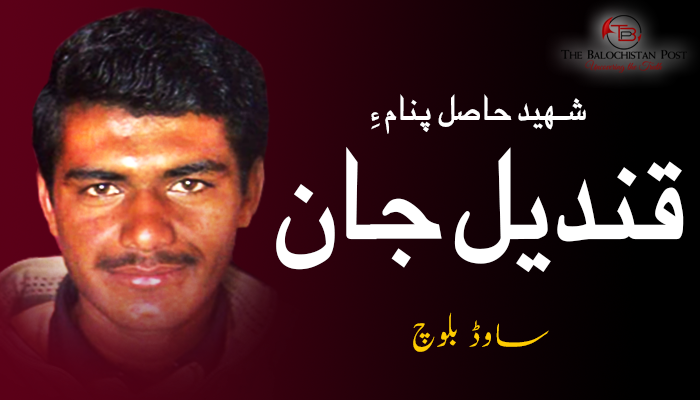 شہید حاصل پنام ءِ قندیل جان  ندکار  – ساوڈ بلوچ
