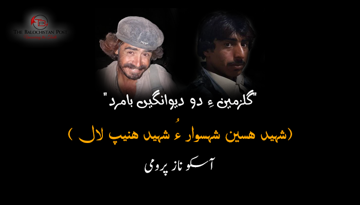 گلزمین ءِ دو دیوانگیں بامرد  – آسکو ناز پرومی