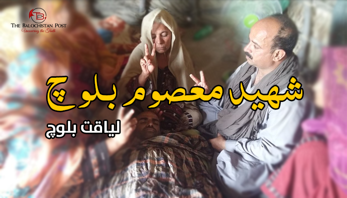 شہید معصوم بلوچ  – لیاقت بلوچ