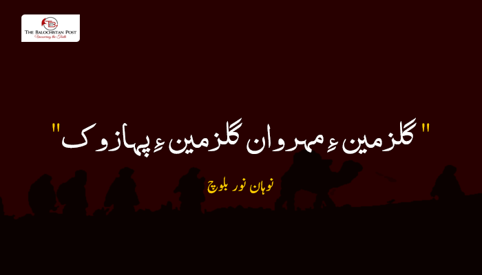 گلزمین ءِ مہروان گلزمین ءِ پہازوک   –  نوہان نور بلوچ