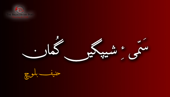سَمّی ءِ شیپگیں گُمان – حنیف بلوچ