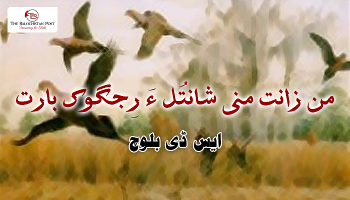 من زانت منی شانتُل ءَ رِجگوک بارت  – ایس ڈی بلوچ