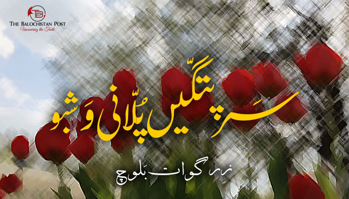 سَرپتگّیں پُلّانی وَشبو  – زِرگوات بَلوچ
