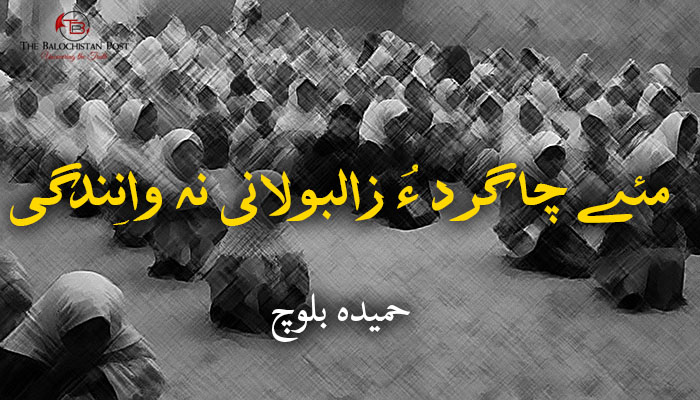 مئے چاگرد ءُ زالبولانی نہ وانِندگی – حمیدہ بلوچ