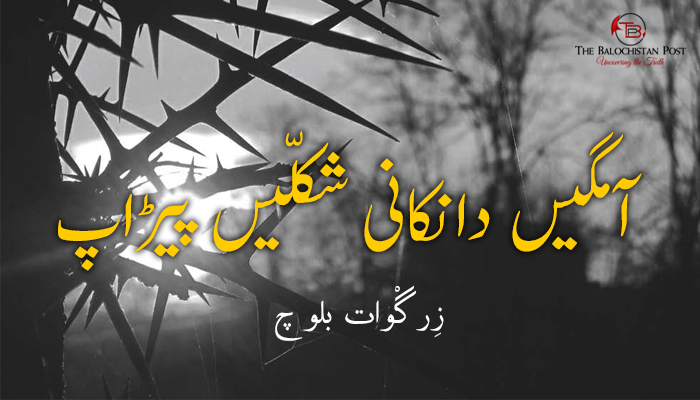 آمگیں دانکانی شکلّیں پیڑاپ  – زِرگْوات بلوچ