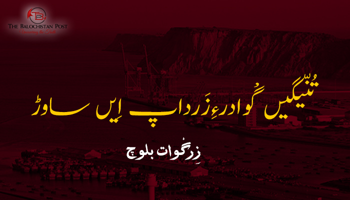 تُنّیگیں گْوادرءِزَرداپ اِیں ساوڑ  – زِرگْوات بلوچ