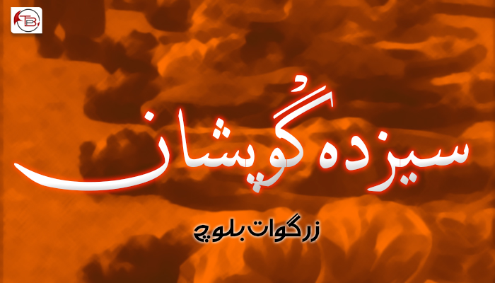 سیزدہ گْوپشان ۔ زِرگْوات بلوچ