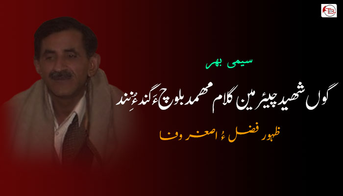 گوں شھید چیئرمین گلام مھمد بلوچ ءَ گند ءُ نِند  | سیمی بھر