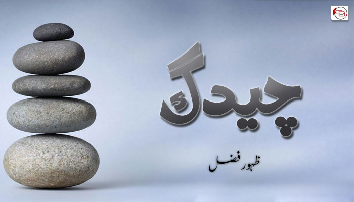 چیدگ ۔ ظہورفضل