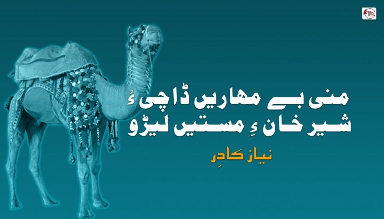 منی بے مہاریں ڈاچیءُ شیر خان ءِ مستیں لیڑو – نیاز کاؔدِر