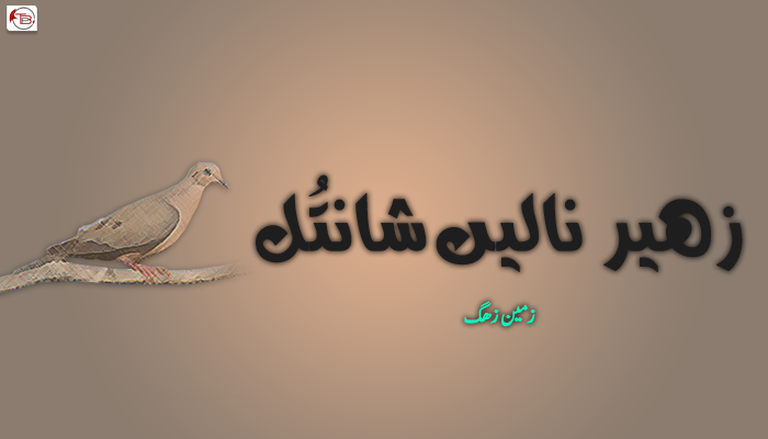 زھیر نالیں شانتُل ۔ زمین زھگ