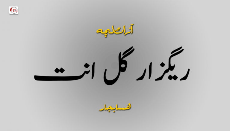 آزات لچہ  – ریگزار گل انت – هسابجار
