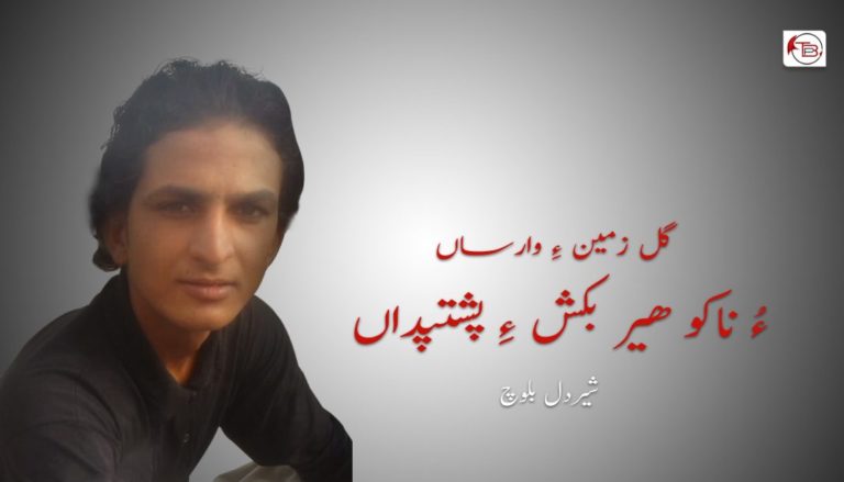 گُل زمین ءِ وارساں ءُ ناکو ھیر بکش ءِ پشتپداں ـ  شیردل بلوچ
