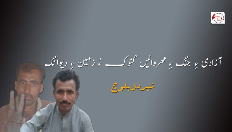 آزادی ءِ جنگ ءِ مھروانیں گنوک ءُ زمین ءِ دیوانگ – شیردل بلوچ