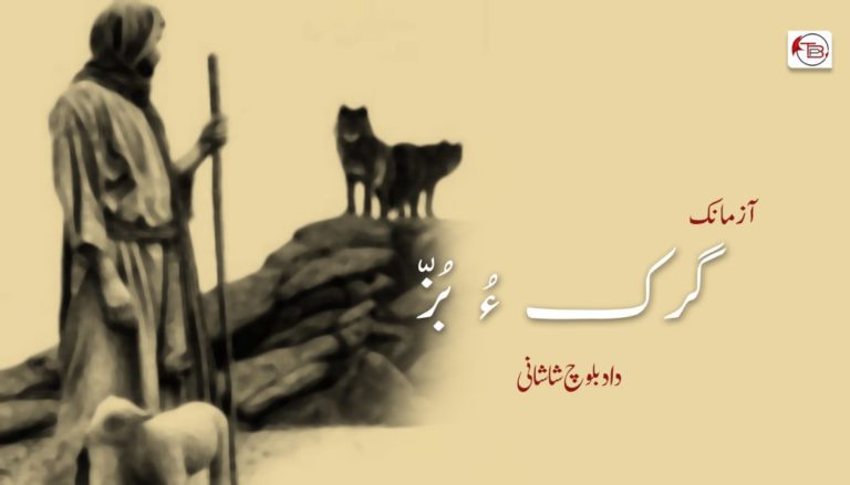گُرک ءُ بُزّ – داد بلوچ شاشانی