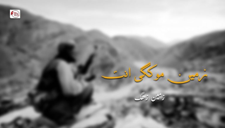 زمین موکگی انت – زمین زھگ