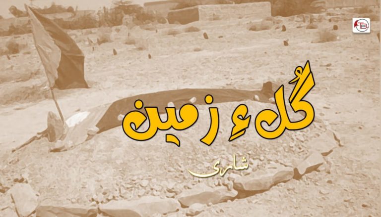 گُل ءِ زمین – شاری بلوچ