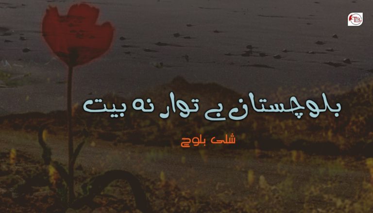 بلوچستان بے توار نہ بیت – شلی بلوچ