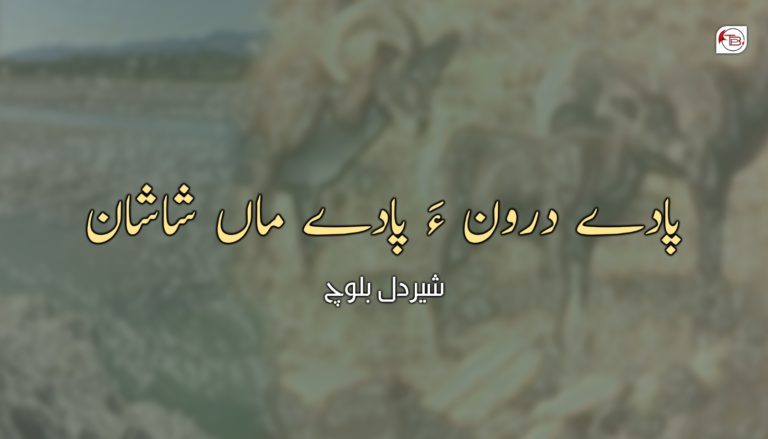 پادے درون ءَ پادے ماں شاشان – شیر دل بلوچ