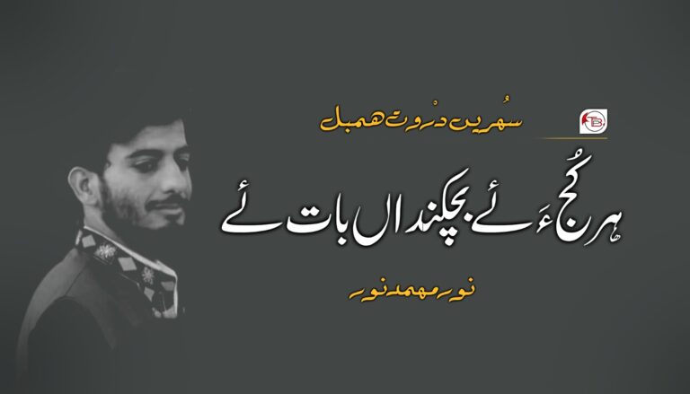 هر کُج ءَ ئے بچکنداں بات ئے- نور مھمد نور