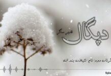 دپگال ۔ بچکاس زاپراں درنزیں ندءَ تو ۔ قدیر ساگر