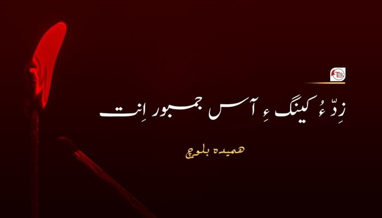 زِدّ ءُ کینگ ءِ آس جمبور اِنت- ھمیدہ بلوچ