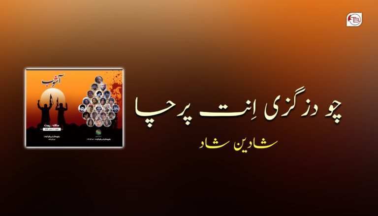 چودزگزی اِنت پرچا-شادین شاد