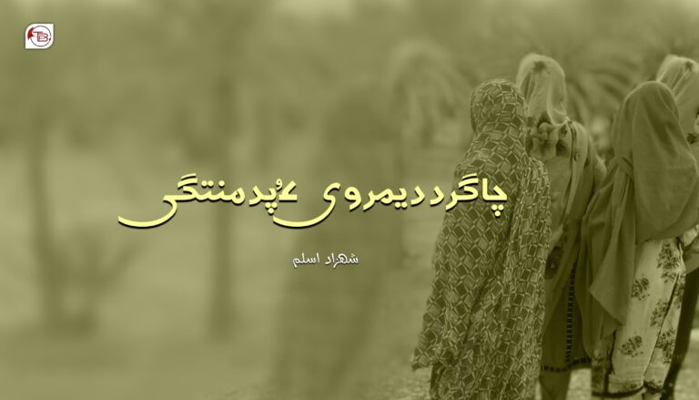 چاگرد، دیمروی ءُ پدمنتگی- شھزاد اسلم