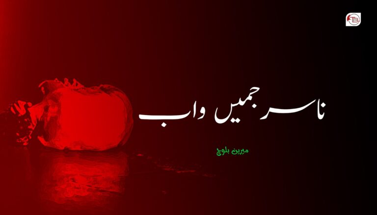 ناسرجمیں واب – میرین بلوچ