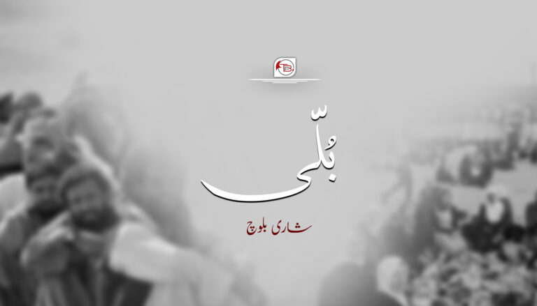 بُلّی۔شاری بلوچ