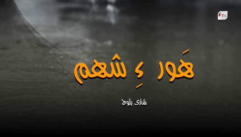 ھَور ءِ شھم – شاری بلوچ