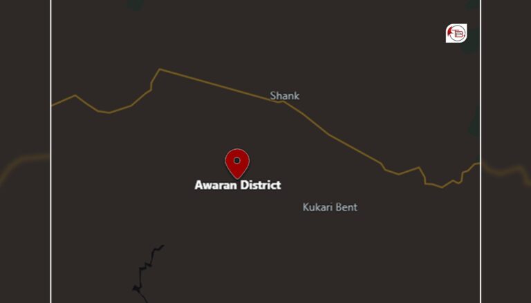 کیچ ءُ آواران ءَ پاکستانی پوج ءِ سر ءَ بیتگیں اُرشانی زمہ واری بی ایل ایف ءَ من اِتگ اَنت