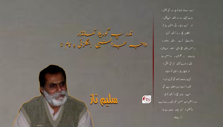 ندر پہ گوریلا کمانڈر واجہ عبدالنبی بنگلزئی ءِ نام ءَ- سلیم ناز