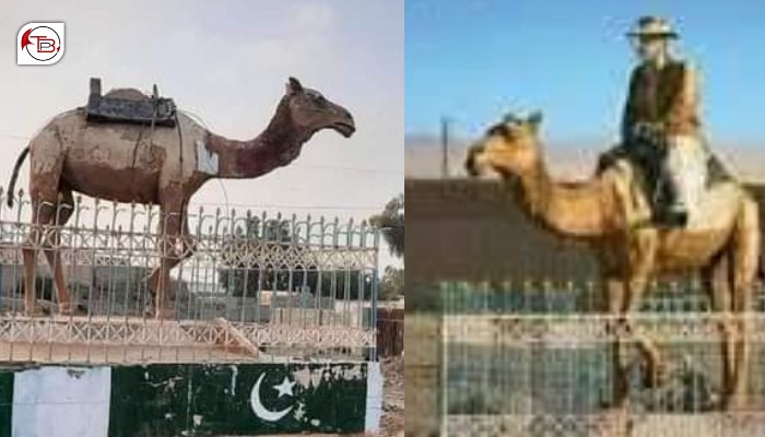 پنجگور چار راہ ءِ سر ءَ نواب اکبر خان بگٹی ءِ بُت بیگواہ