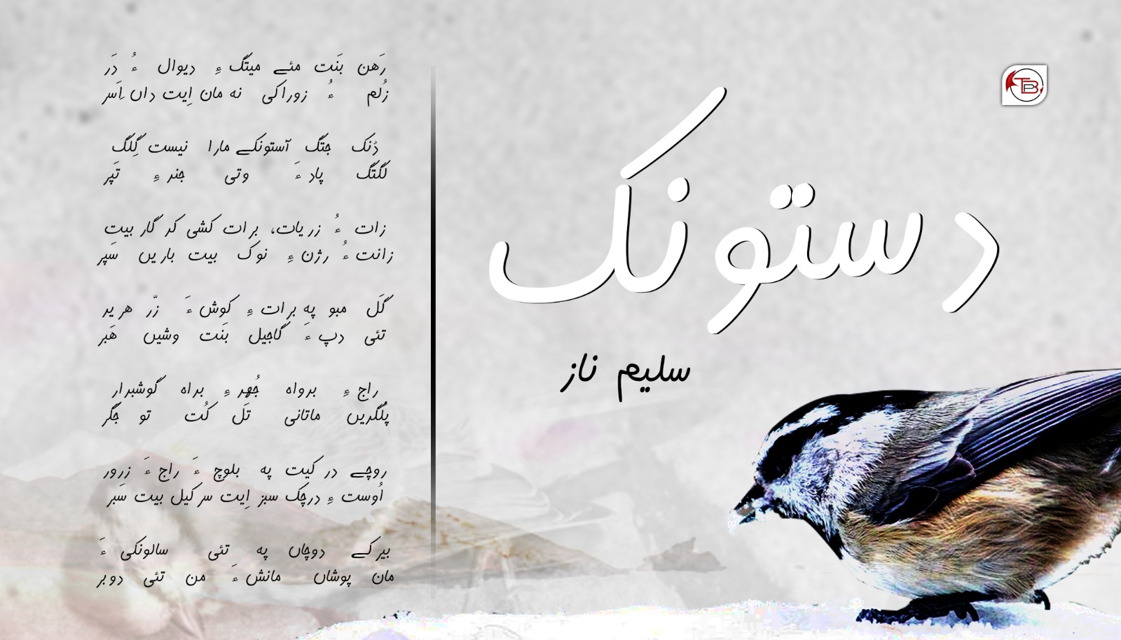 دستونک – سلیم ناز