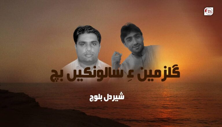 گلزمین ءِ سالونکیں بچ – شیردل بلوچ