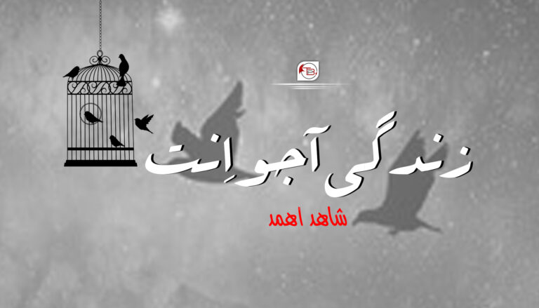 زندگی آجو اِنت -شاھد اھمد