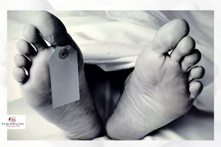 شاپک کولواہ ءَ پجار نبیتگیں زانگولیں جونے دزکپتگ