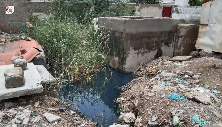 ھب: ھئوراں پد بازیں نادراھی تالان