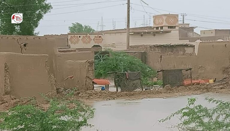 بلوچستان ءَ بشّی ھئورانی درچ برجاہ، سدانی کچ ءَ گِس کپتگ انت