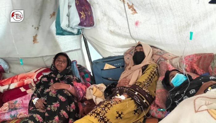 شال ءَ زھرشانی نندانک: بیگواھیں مردمانی کھول نادراہ بوان انت