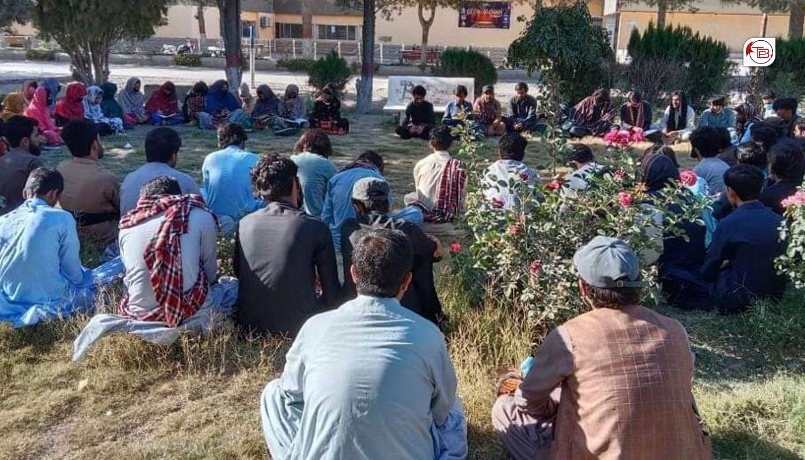 بساک شال ھنکین نیمگ ءَ ھیلکاری سرکلے