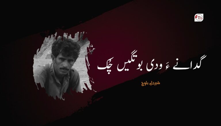 گدانے ءَ ودی بوتگیں چُک –  شیردل بلوچ