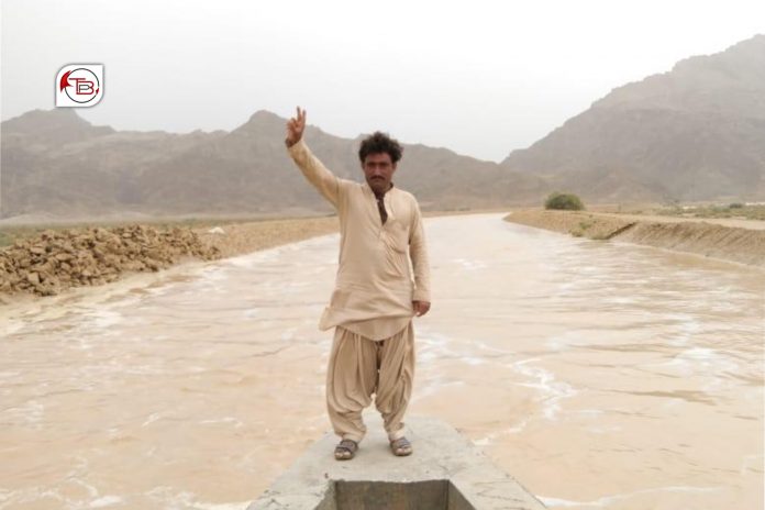 سبی: ورنایے زورانسری بیگواہ