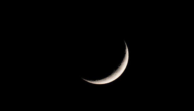 سعودی عرب ءَ اولی روچگی پشمبے ءَ بیت اِنت