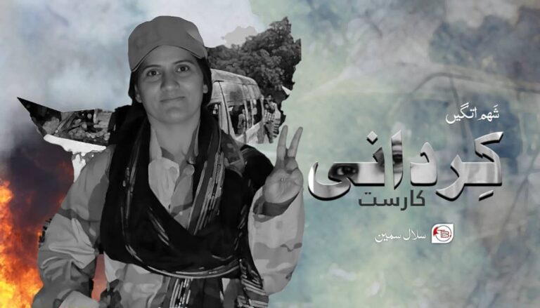 “شَھم اتگیں کِردانی کارست” –  سلال سمین