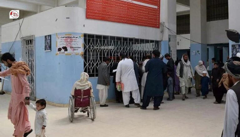 شال: کانگو وائروس ءِ آماچیں چار نادراہ بیران بوتگ انت