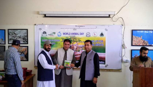 جنگلی دلوتانی میان استمانی روچ ءِ درگت ءَ مزن شھدربرجاہ بلوچستان ءَ مراگش